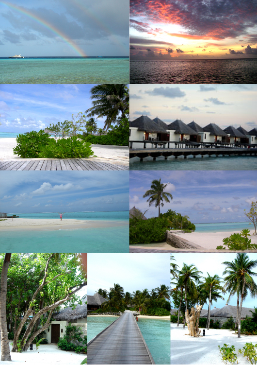 More of the Maldives